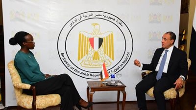 وزير الخارجية يبحث مع الإعلام الكيني تعزيز العلاقات المصرية الكينية