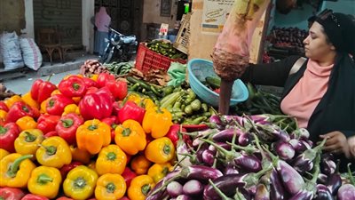 أسعار الخضروات والفاكهة والسلع الغذائية اليوم إرتفاع سعر الطماطم والخيار 