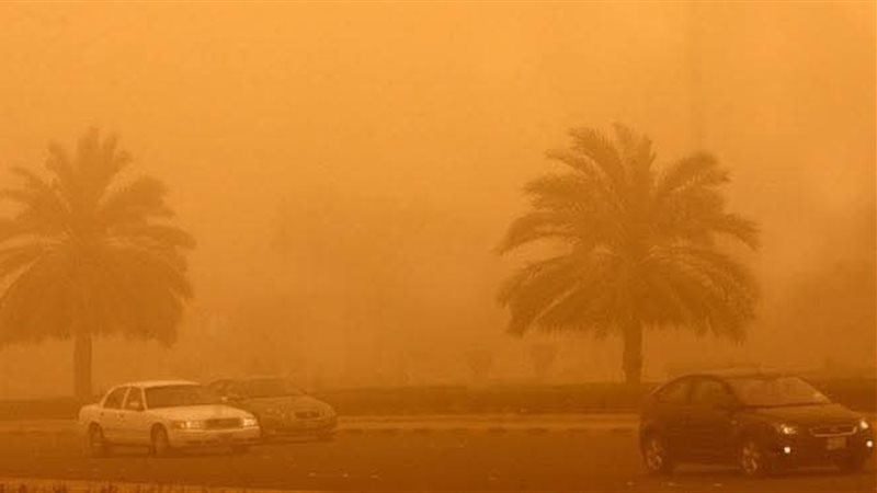 المواطن