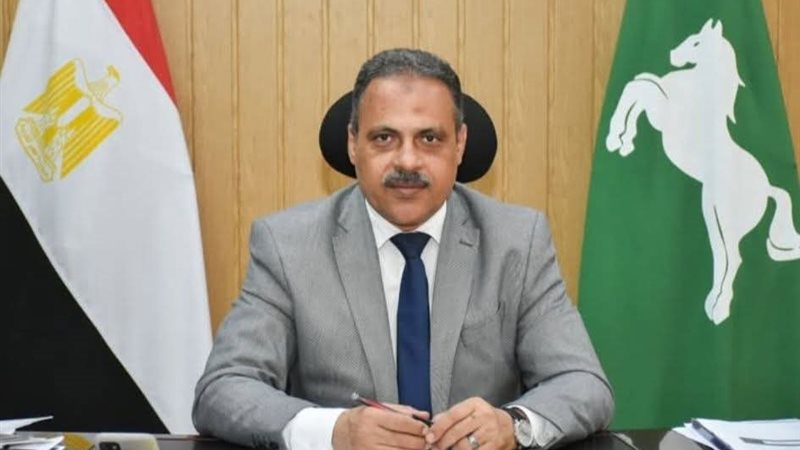 محافظ الشرقية 