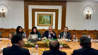 مصر تشارك تجربتها في المفاوضات التجارية مع تايلاند والشركاء الدوليين