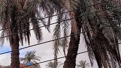أمطار غزيرة في قرية عرب الحصار القبلية مركز الصف محافظة الجيزة