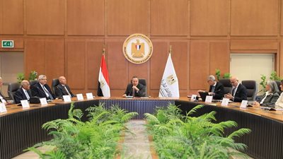 بدعوة من وزير التعليم العالي :انعقاد الجلسة الإجرائية لجامعة عين شمس الأهلية