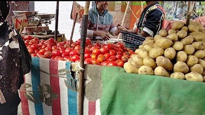 عدسة بوابة المواطن الإخبارية ترصد لكم أسعار الخضروات والفاكهة بمحافظة الجيزة 