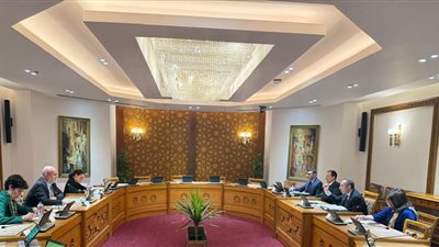 جولة مشاورات مصرية أوروبية حول نزع السلاح وعدم الانتشار النووي