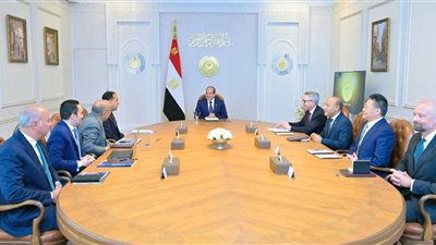 استقبل الرئيس السيسي الرئيس التنفيذي لشركة 