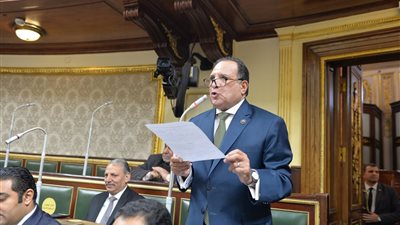 أبو هميلة يعدد المكاسب الاقتصادية والبيئية لمشروع الربط الكهربائي بين مصر والسعودية