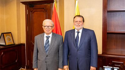 محافظ البنك المركزي المصري يبحث مع نائب رئيس الوزراء مستجدات الأوضاع الاقتصادية 