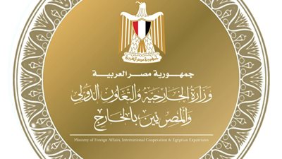 الخارجية المصرية تسعى لتسريع إصدار جوازات السفر للمصريين بالخارج وتقليص المدة الزمنية