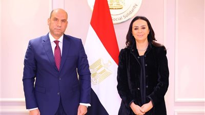 وزيرة التضامن الاجتماعي تلتقي وزير العمل لتعزيز التعاون المشترك