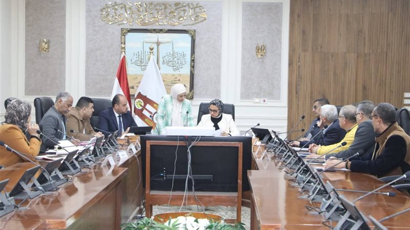محافظ الوادى الجديد