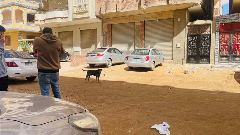 المواطن