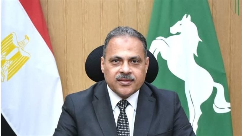 محافظ الشرقية 