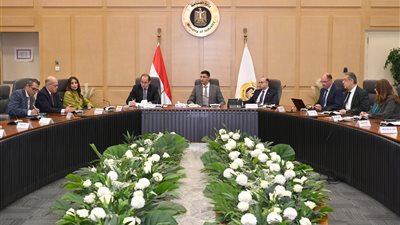 وزير الصناعة يبحث مع وزيري الاستثماروالمالية محاور البرنامج الوطني لتنمية صناعة السيارات