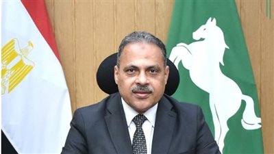 محافظ الشرقية يشدد على تحسين مستوى الإنارة العامة بمراكز ومدن المحافظة