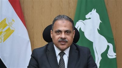 محافظ الشرقية بؤكد إستمرار العمل ليلا ونهارا في رصف كوبري الصاغة بالزقازيق