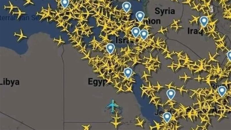 المواطن