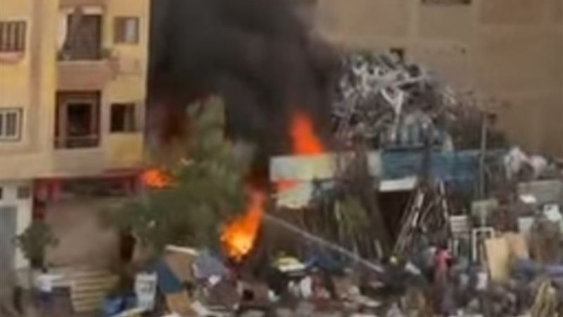 المواطن