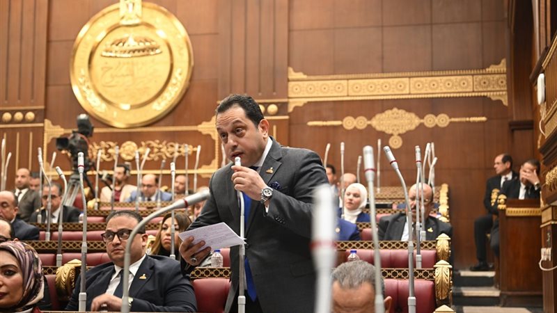 النائب محمد الجندي