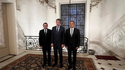 تعزيز التعاون المصري التركي لتحقيق الاستقرار والتنمية في أفريقيا