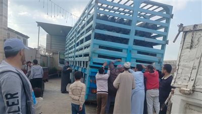حملات لضبط الأسواق وتوفير أسطوانات البوتاجاز بأسعارها الرسمية بكفر صقر