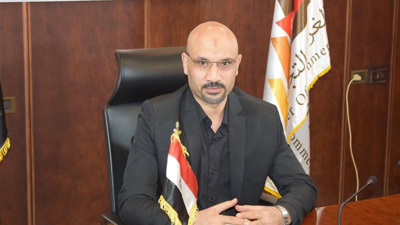 السيد محمد هداية