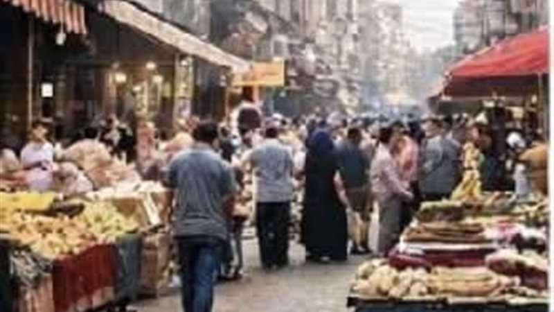 المواطن