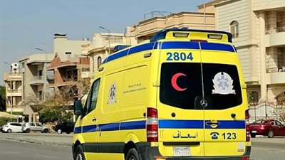 ضحايا التقلبات الجوية اليوم :وفاة شاب ومصرع مسن سقطت عليه نخلة 