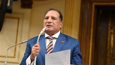 أبوهميلة :كلمة السيسي بإفطار الأسرة المصرية تعكس رؤية ثاقبة تجاه قضايا المنطقة
