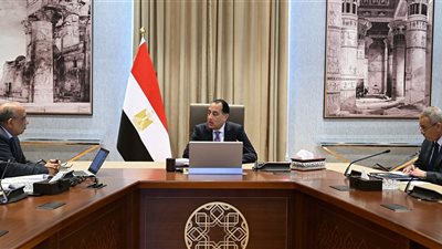 رئيس الوزراء يلتقي وزير الكهرباء والطاقة المتجددة لاستعراض عددٍ من ملفات العمل