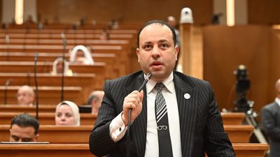 وليد خطاب:اتصال السيسي ومحمد بن سلمان يعزز وحدة الصف العربي بمواجهة التحديات
