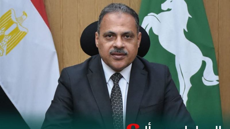 محافظ الشرقية 
