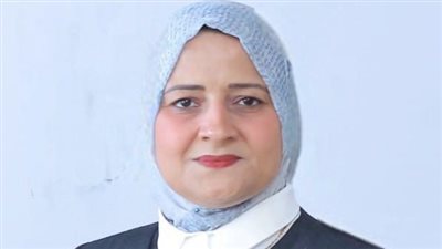  مروه قنصوه:تحركات القيادة السياسية تعكس إدراكًا واعيًا بحجم التحديات التي تواجه المنطقة