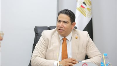 محمد رشيدي: تحركات القاهرة تحمي المنطقة من الانزلاق نحو الفوضى