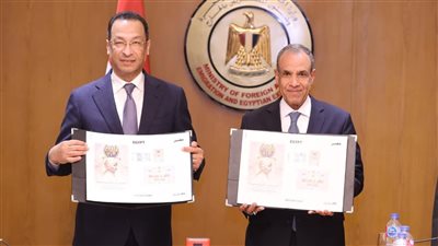 التحول الرقمي يربط المصريين بالخارج: تعاون بين الخارجية والاتصالات