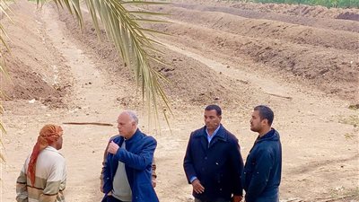 محافظ أسيوط يشدد على المتابعة المستمرة للتخلص الآمن من المخلفات الزراعية 