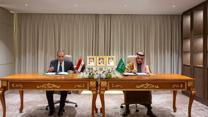 وزير الخارجية 