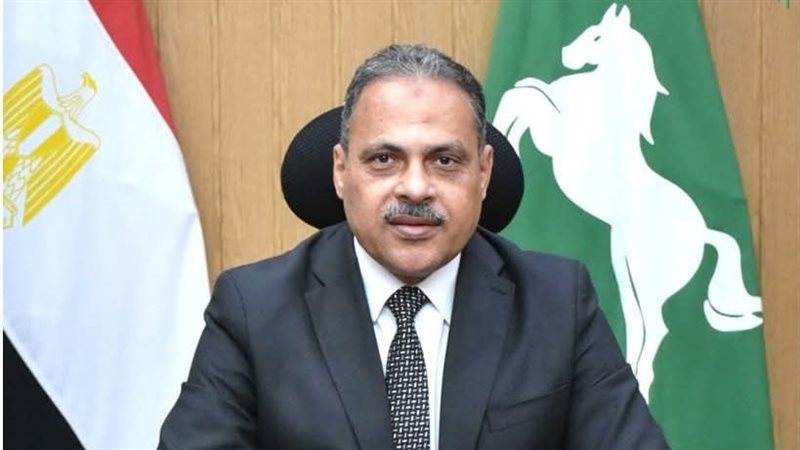 محافظ الشرقية 