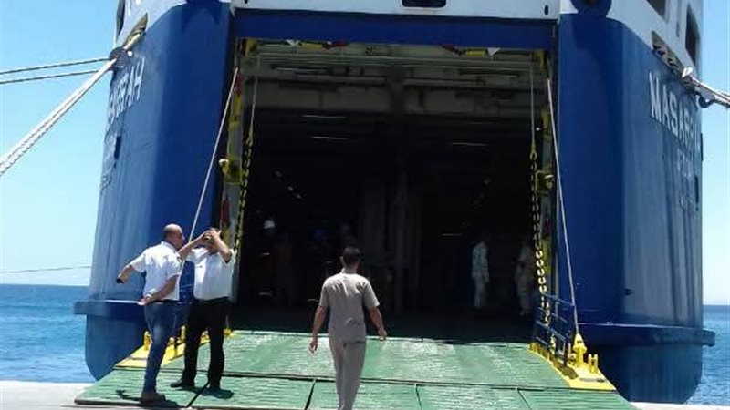 المواطن