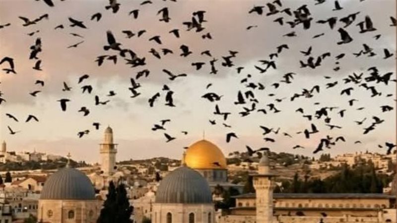ظهور الغربان في سماء