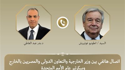 وزير الخارجية:جهود مشتركة بين مصر والأمم المتحدة لخفض التصعيد بالشرق الأوسط