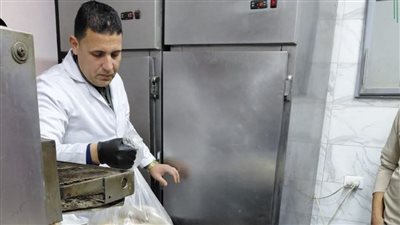 ضبط 2 طن لحوم وأسماك فاسدة بالشرقية 