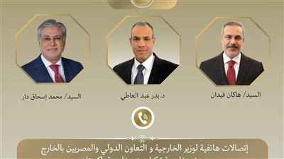وزير الخارجية يجري اتصالات مكثفة مع باكستان وتركيا لتحقيق الاستقرار 