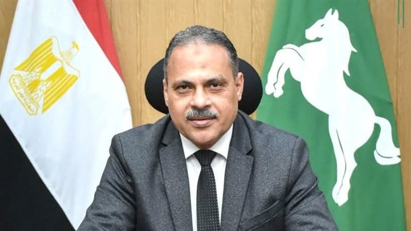 محافظ الشرقية 