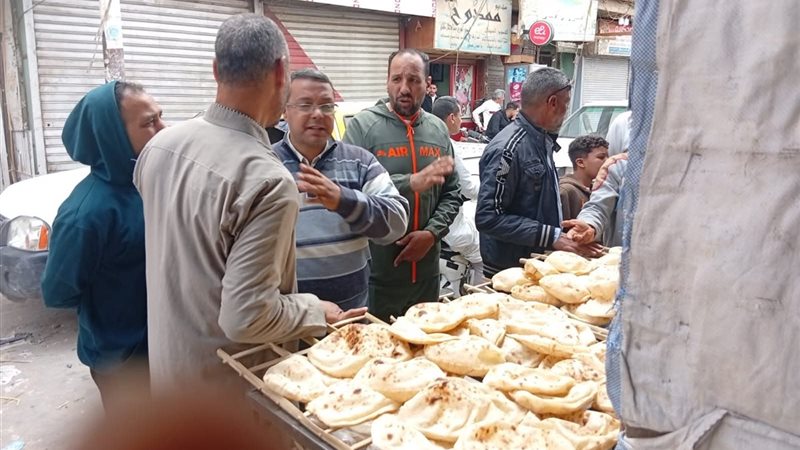 تحرير 290 محضرًا
