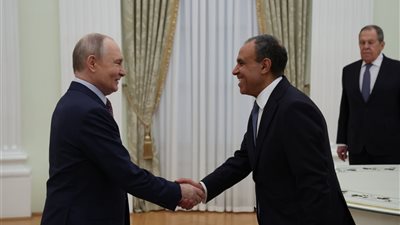 وزير الخارجية المصري ينقل رسالة من السيسي إلى بوتين