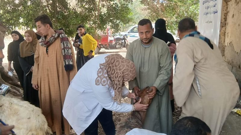 محافظ أسيوط: توزيع