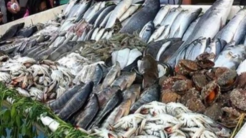 أسعار السمك اليوم