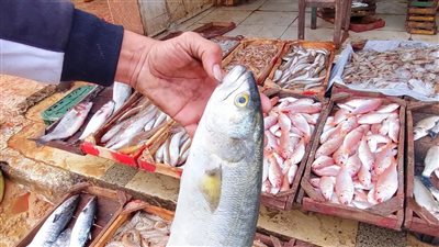 أسعار السمك اليوم في الأسواق المصرية وسوق العبور السبت 11 أبريل 2026 