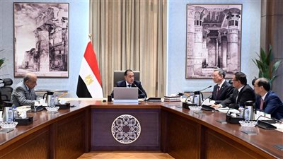 مصطفى مدبولي يناقش مشروعات الطاقة المتجددة وتحلية المياه مع شركة صينية